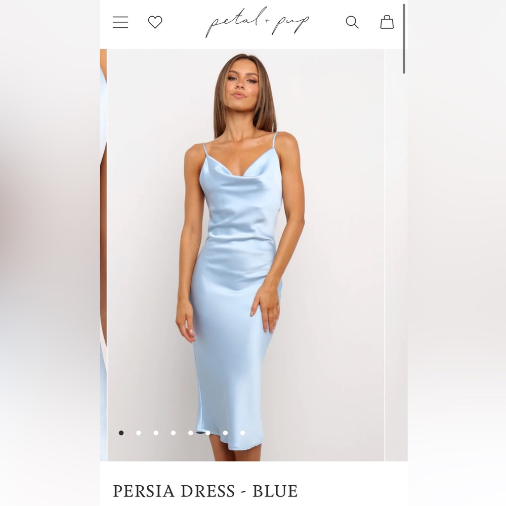 Light blue petal and pup dress
